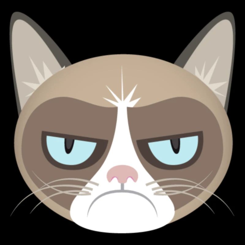 Chat grincheux