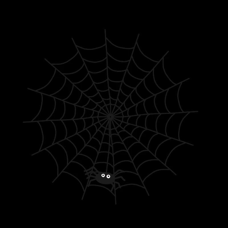 Spider web with spider on the thread