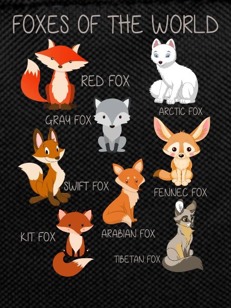 Foxes of The World