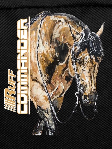 COMMANDANT D'APPEL
