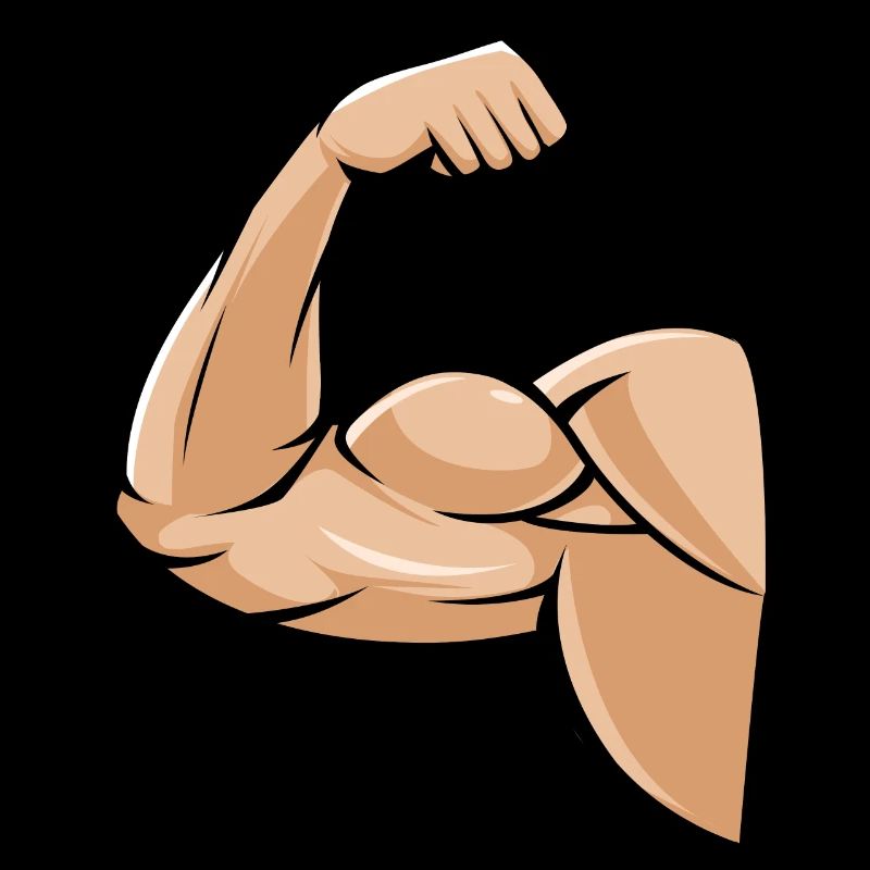 biceps muscle