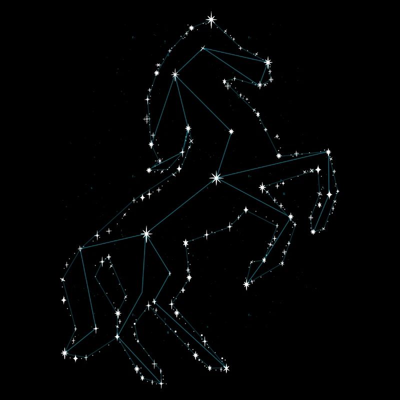 Pferd
