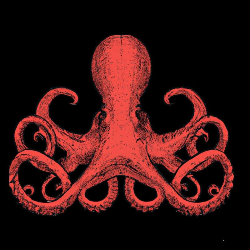 octopus illustration