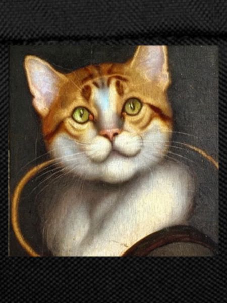 Katzenkunst