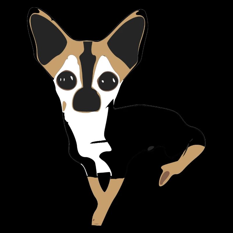 Missy the Chihuahua