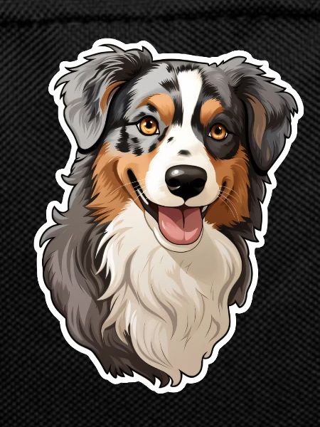 Australian Shephard