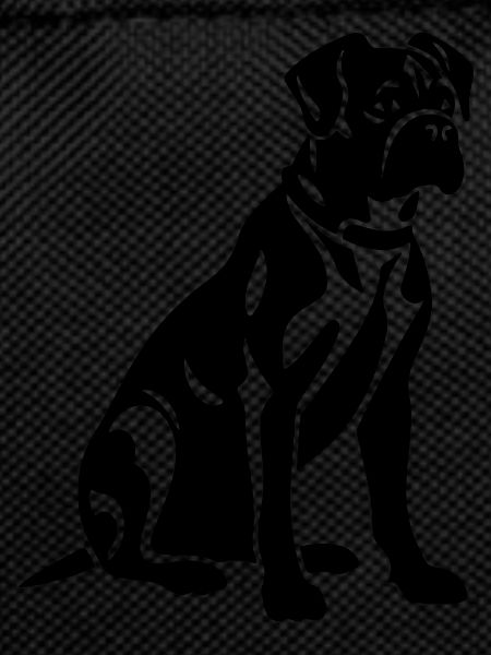 Boxer Dog