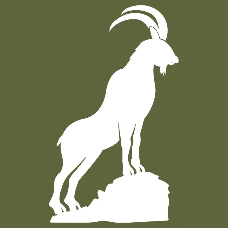 steinbock 01