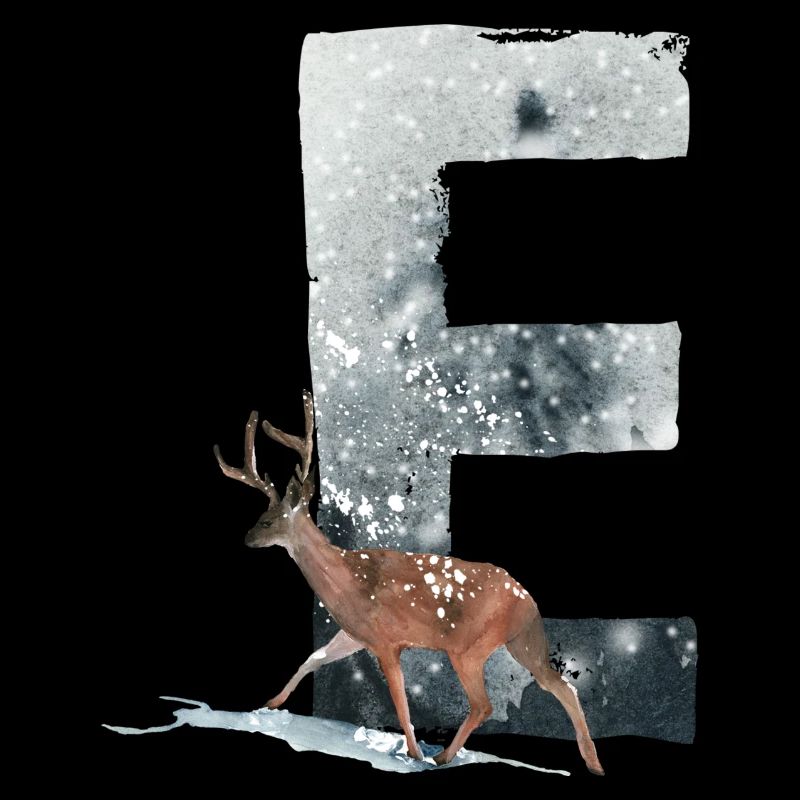 E – dekoratives Schriftzeichen – Winter