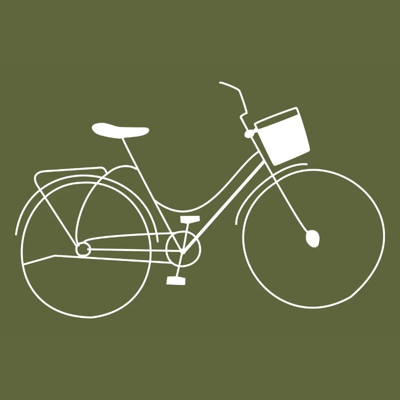 Ladies bike basket