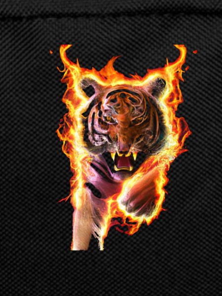 Feuertiger
