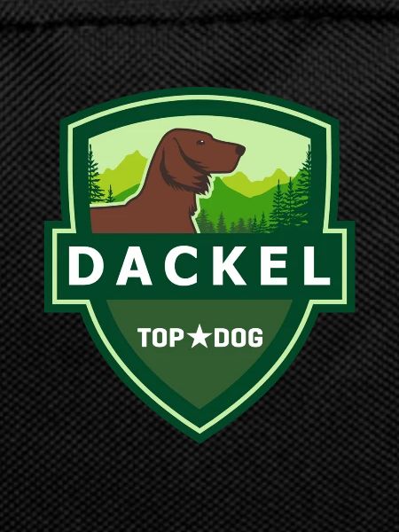 DACHEL Longhaardackel ILOVETECKEL