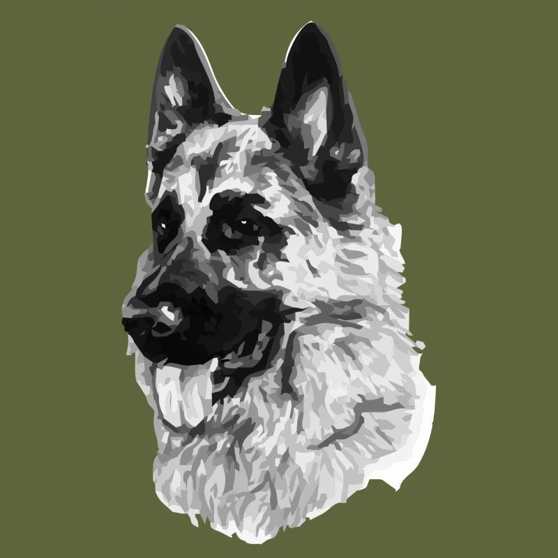 German shepherd