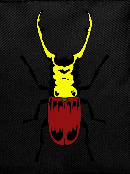 Scarabée insecte insecte