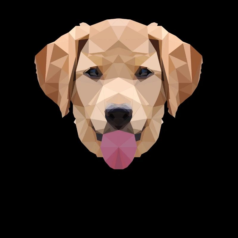 Polygone Labrador, Polygone, Chien, Labrador