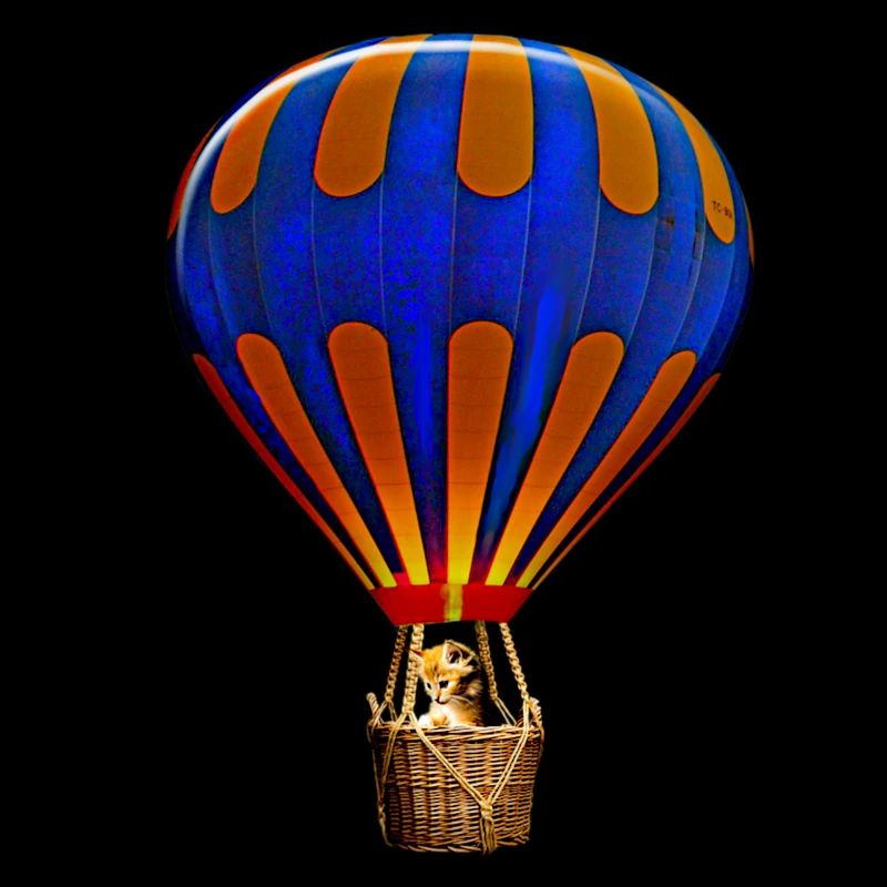 Montgolfière 3