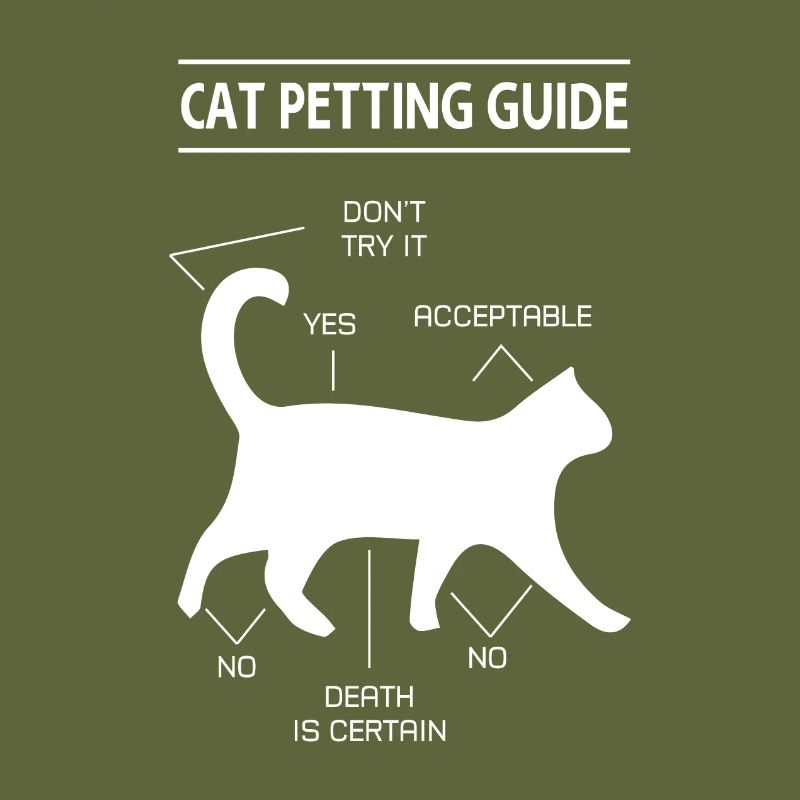 chat chat caresser guide