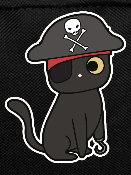 Pirate Cat