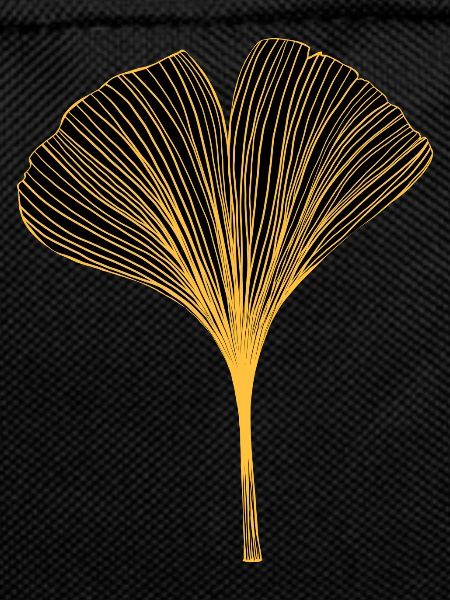 Ginkgo