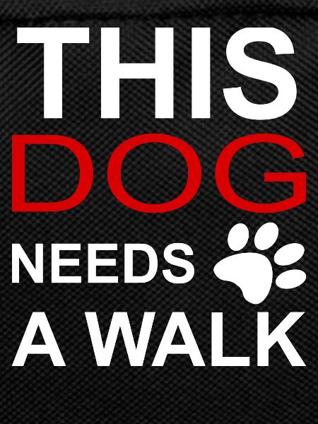 Dog Walk Dog Paw Poison