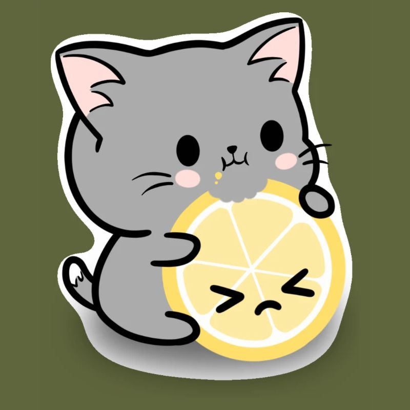 Lemon cat
