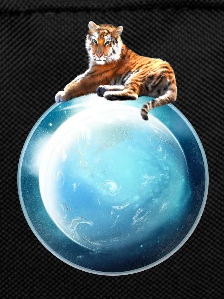 Le Tigre