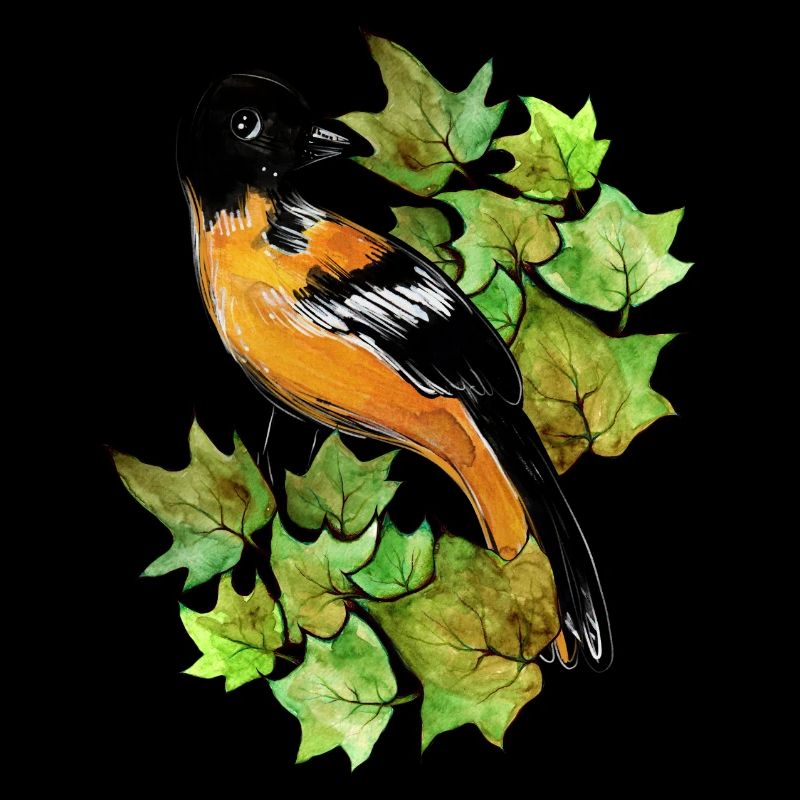 Baltimore Oriole