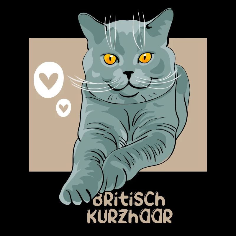 britisch kurzhaar Katze