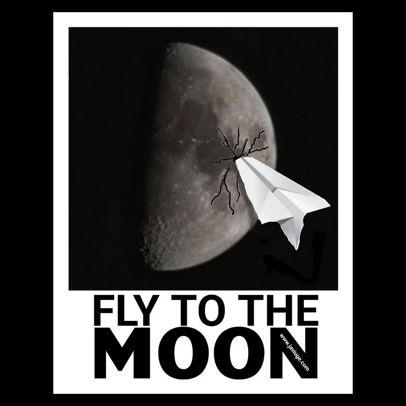 FLY TO THE MOON