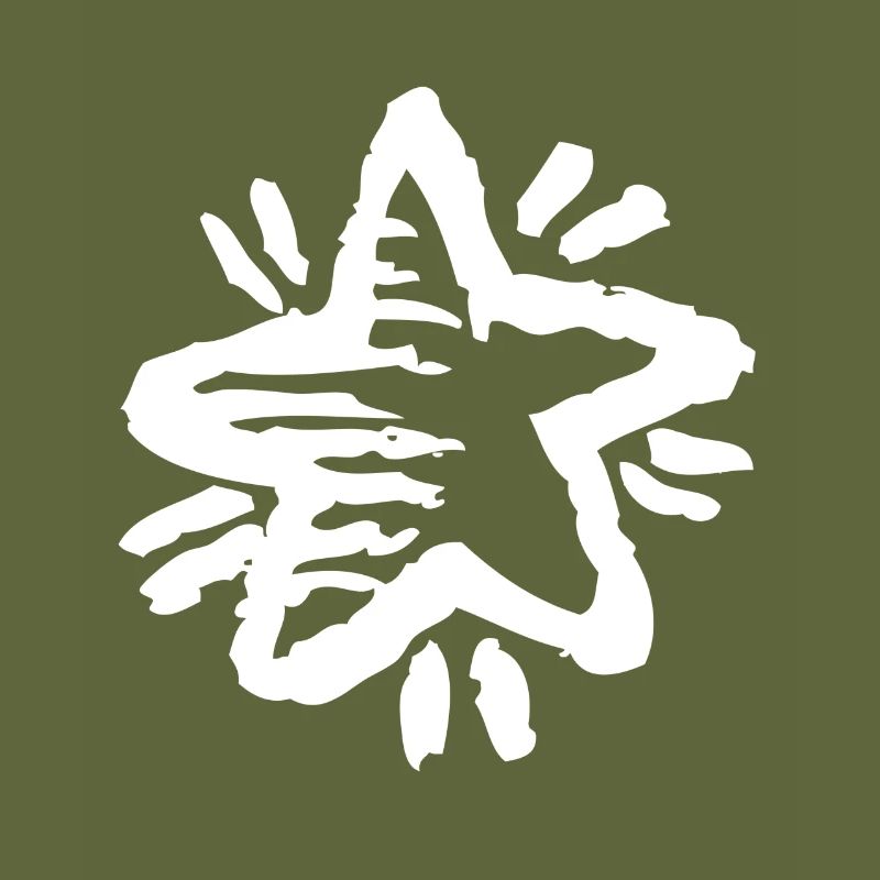 Sternschnuppe