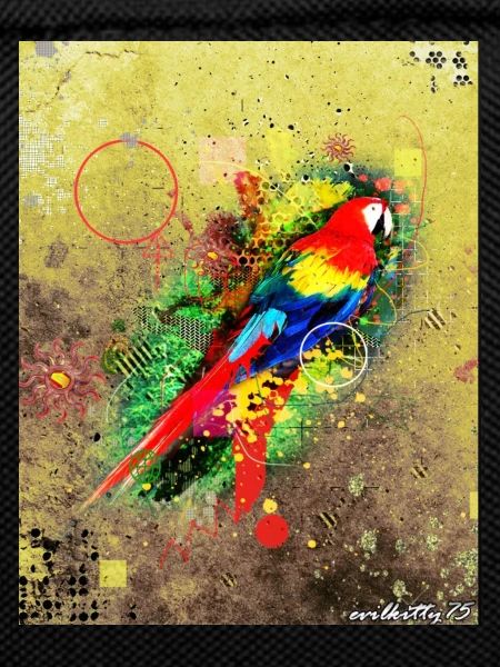 Graffiti aviaire