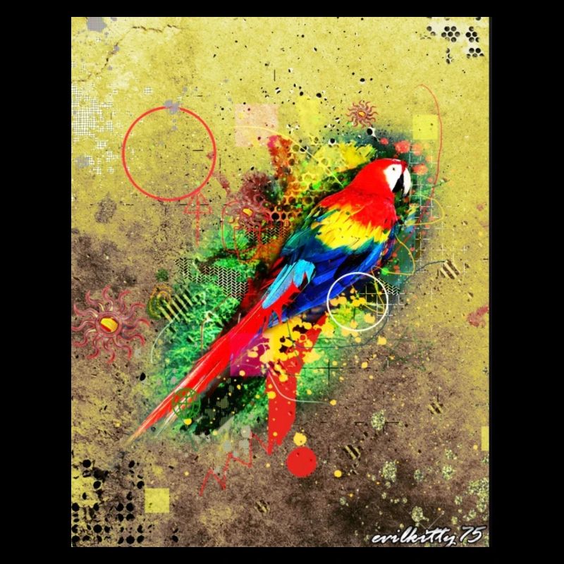 Vogel-Graffiti