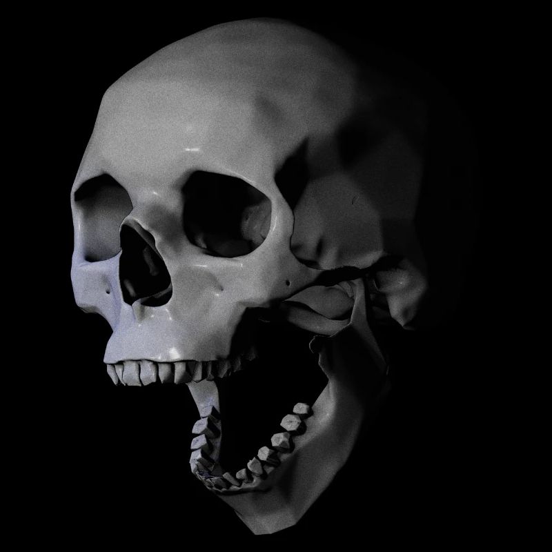 Skull