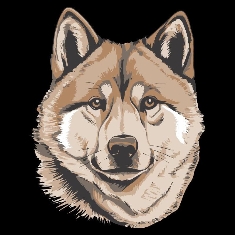 Akita