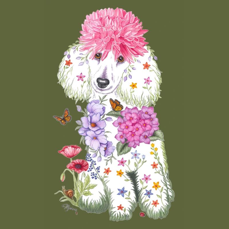 Spring poodle