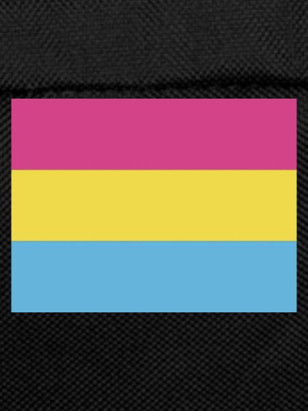 Pansexual Pride Flag