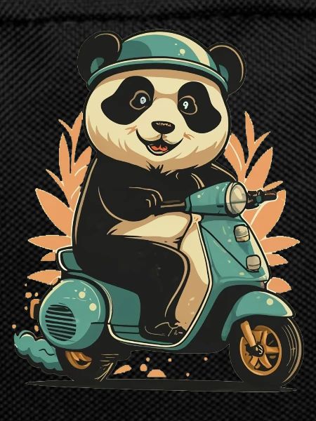 Panda Scooter