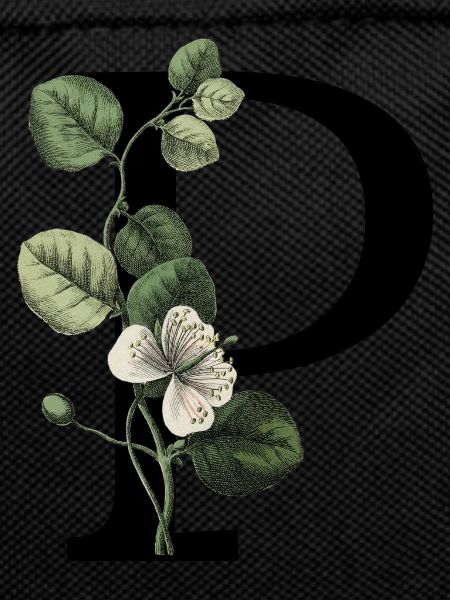 Letter P Green Botany