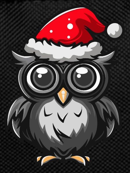 Owl Christmas