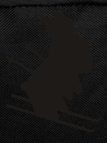 ski