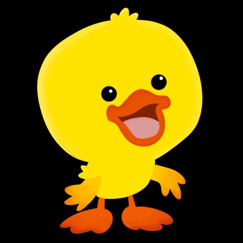 Funny duck