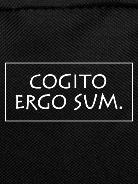 Cogito ergo sum