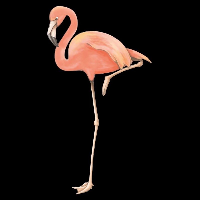 Flamingo solo