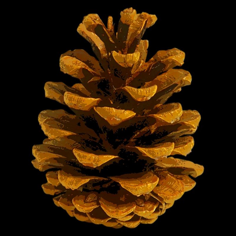 Pine cone