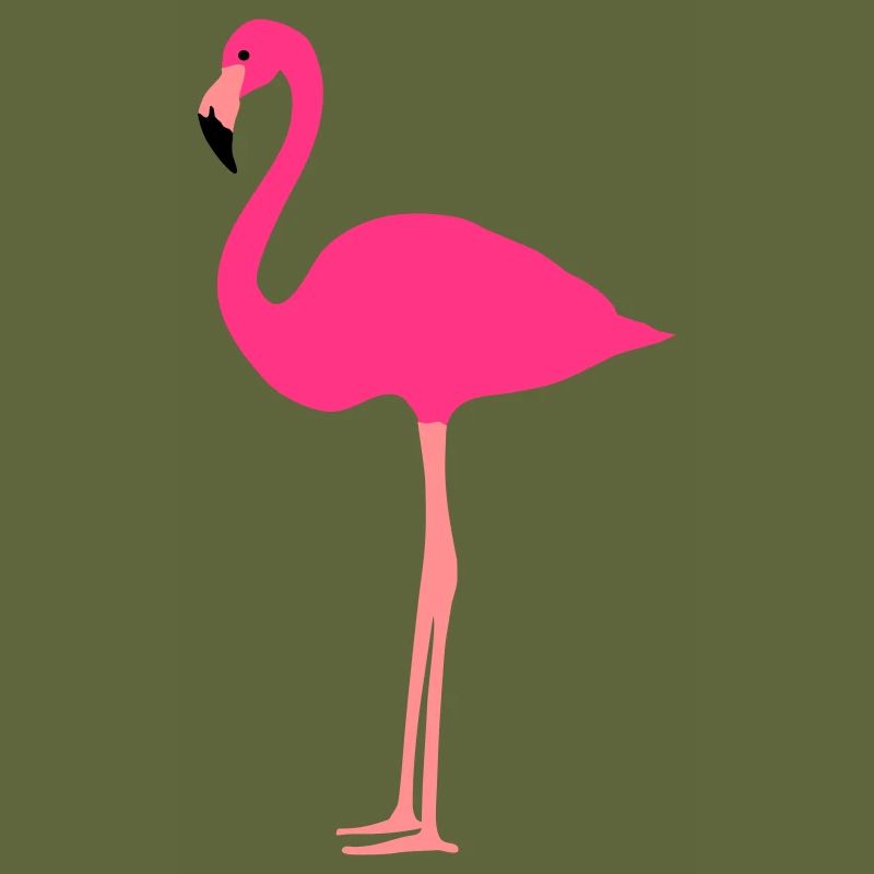 Flamingo 3 colors