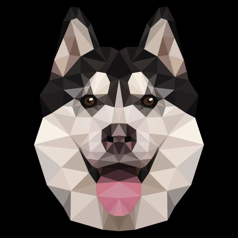 Chien Husky Polygon Hund