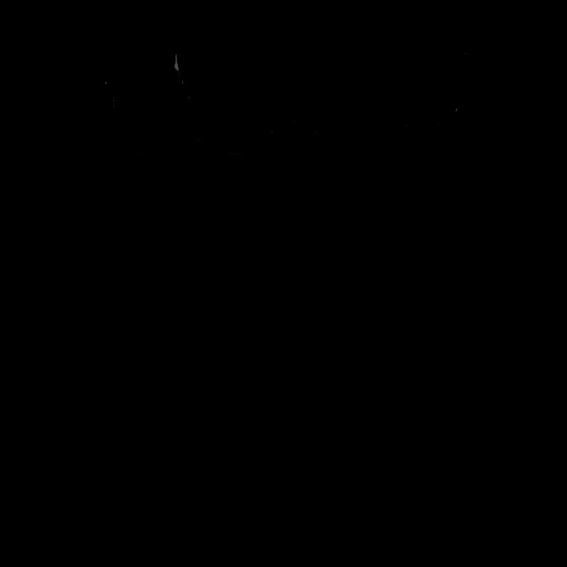 Karlsruhe skyline black