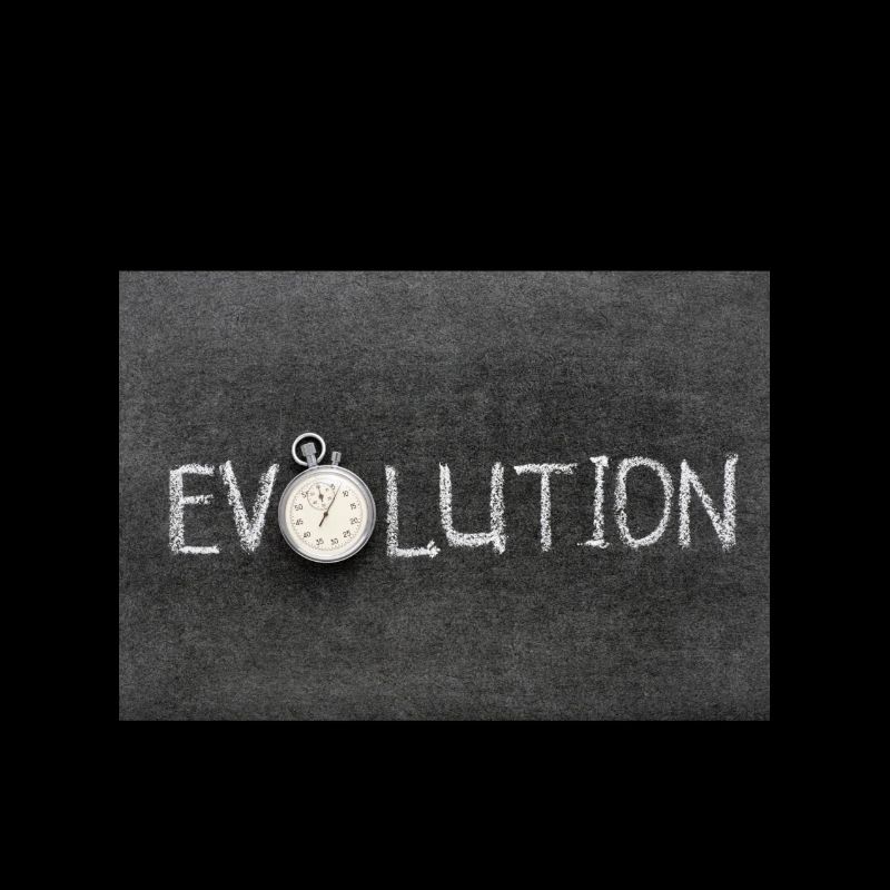 Évolution