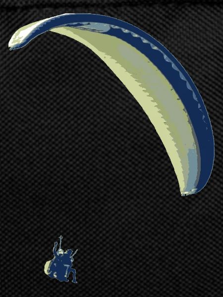 paraglider 12