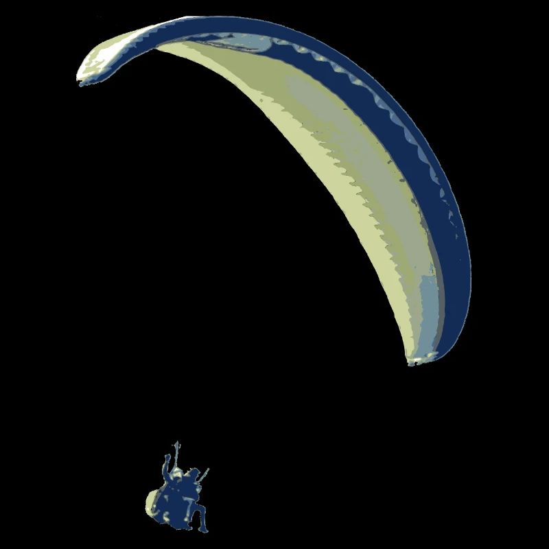 paraglider 12
